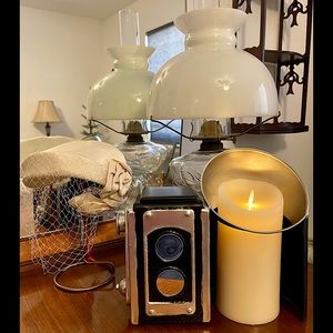 Pink Zebra Vintage Style Camera Shade